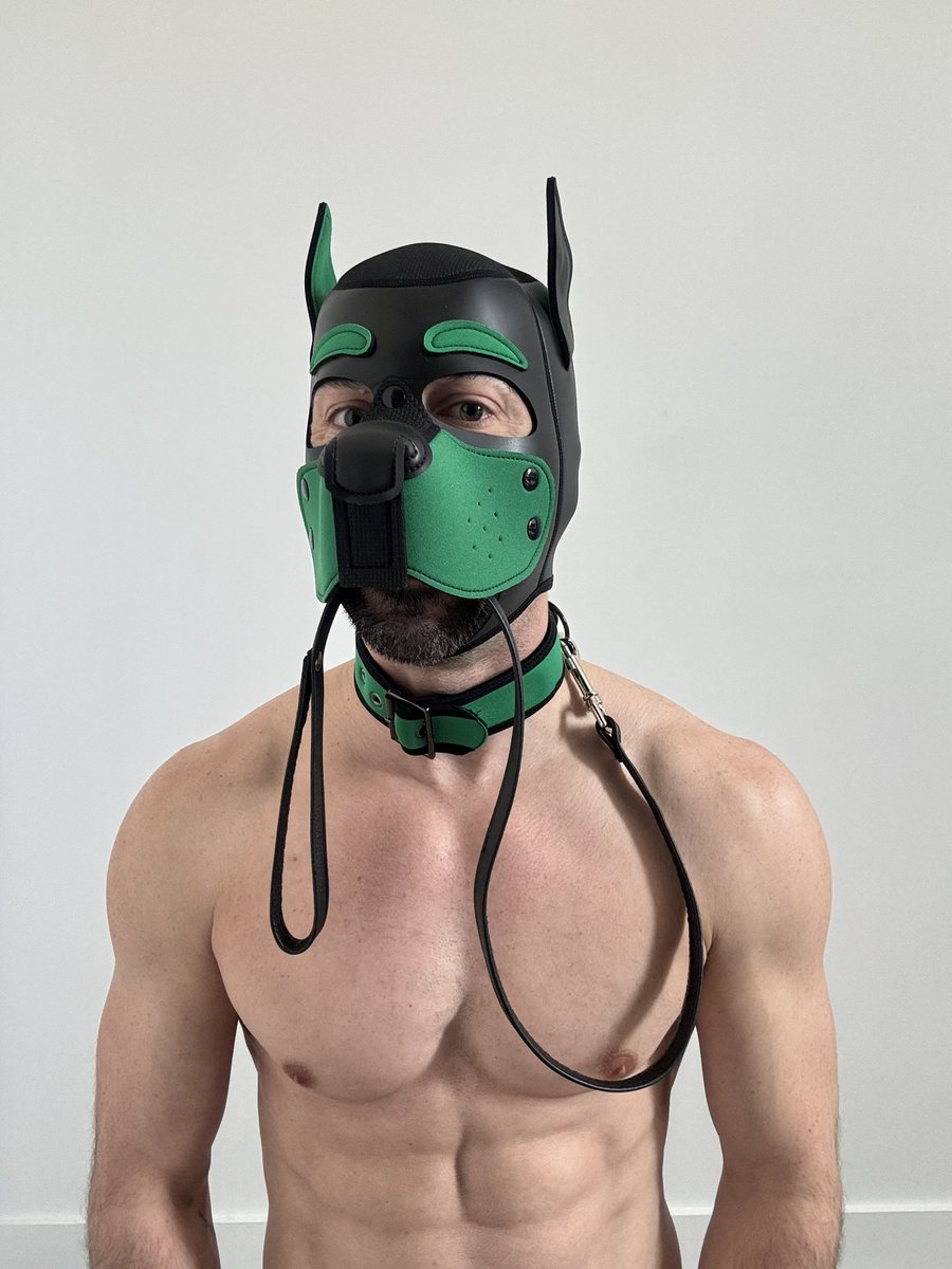 Finn's Playground (Austin Apr 2-5) tweet media