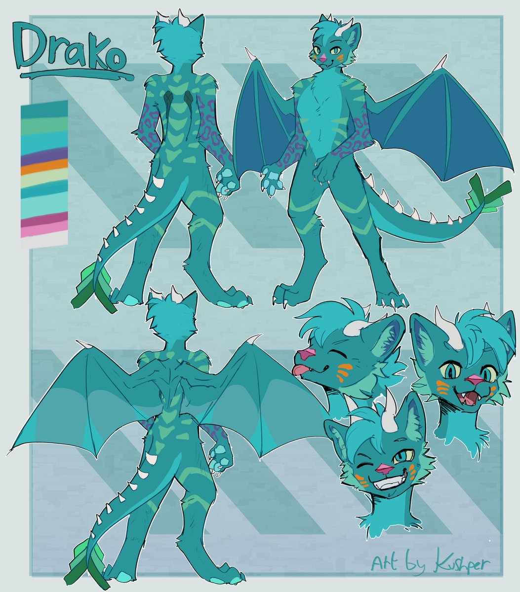 Kushper➡️NFC tweet media