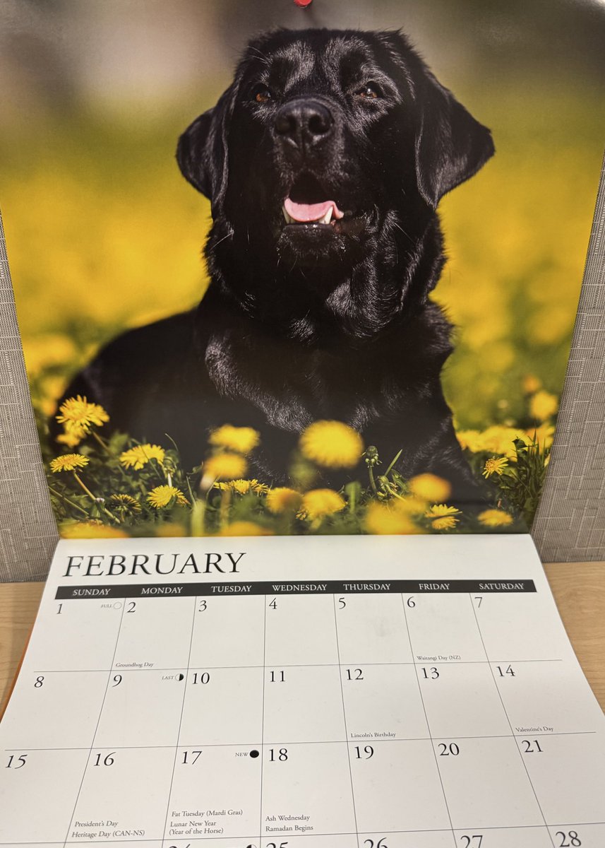 Chris Hassel tweet media