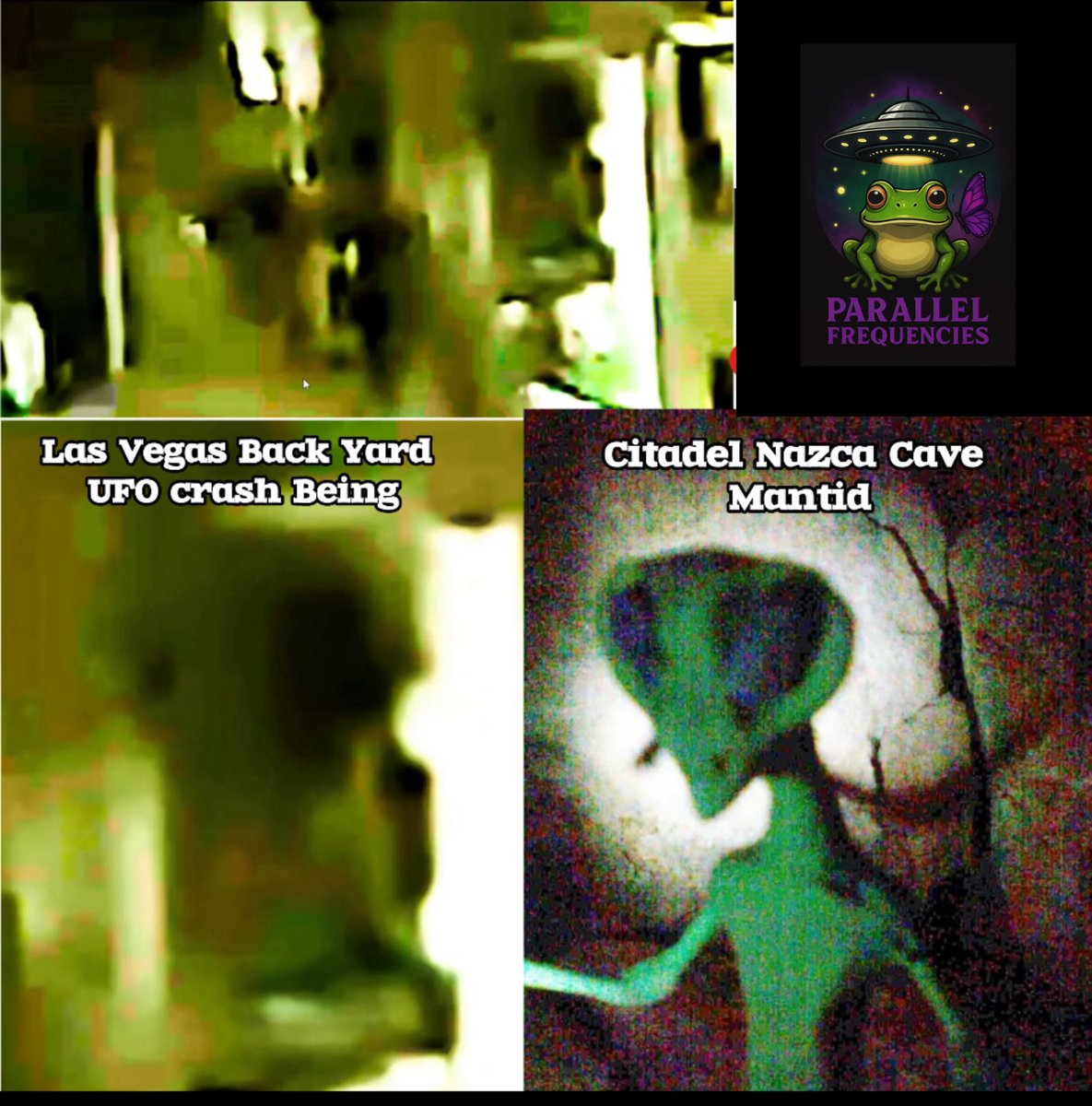 LwMark - ParellelFrequencies tweet media