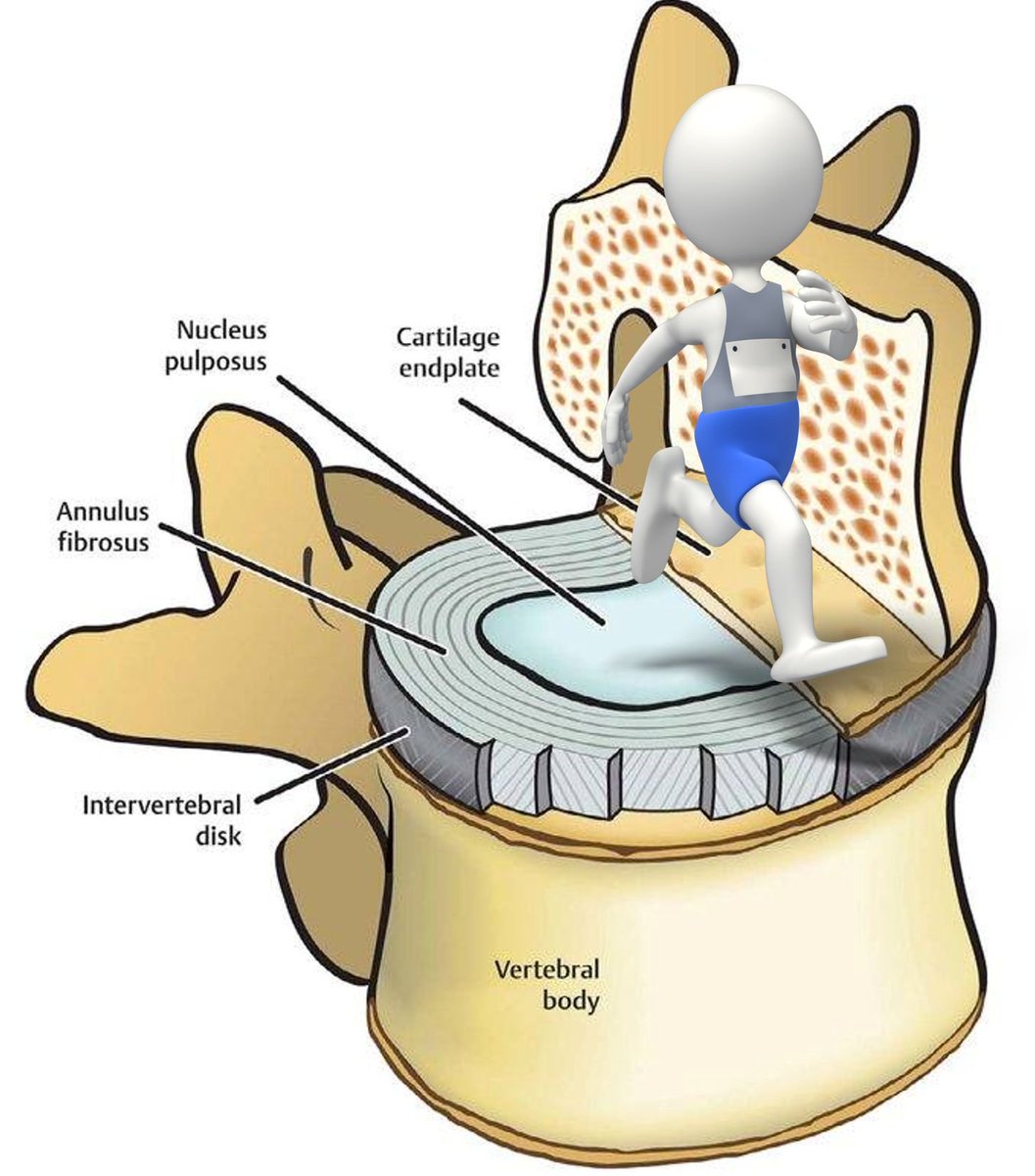 Physio Meets Science tweet media