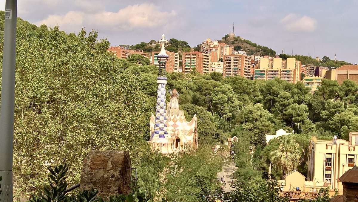 Peter Webster tweet media