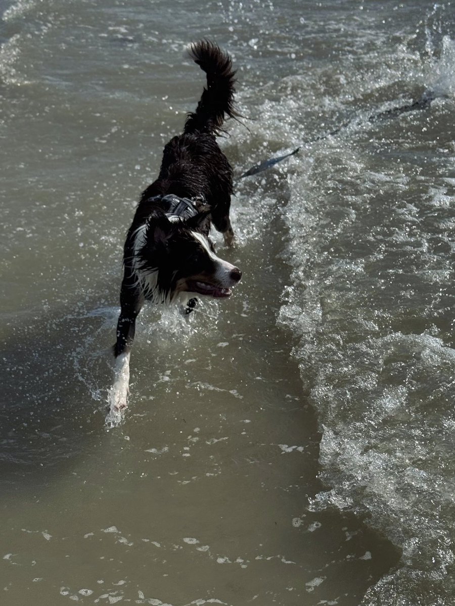 𝐉𝐞𝐬𝐬𝐢𝐞 🌊 tweet media