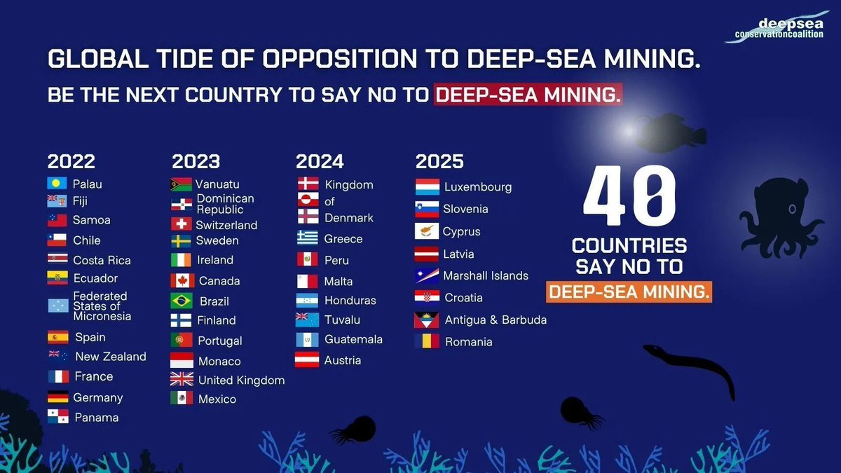 Deep Sea Mining Campaign tweet media