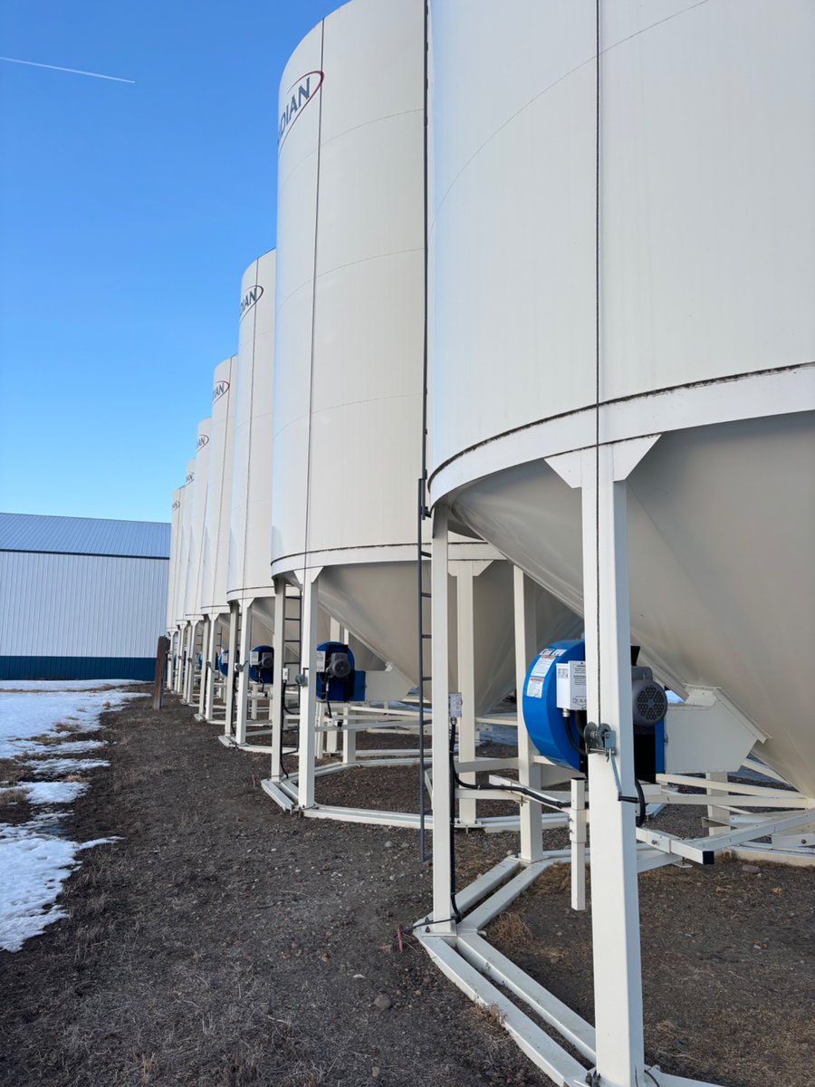 Henry Wiebe tweet media