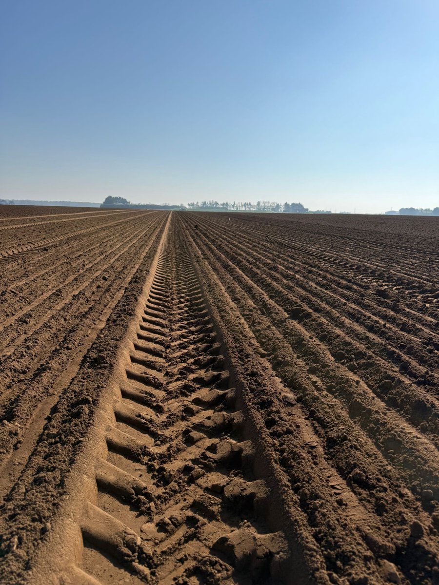 deanfarming's tweet photo. Nice to be finally getting stuck into some work on the land as well as the start of an exciting new chapter 🧅 https://t.co/y5VXVimPOV