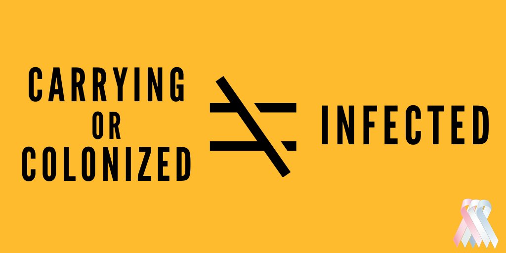 GBS International tweet media