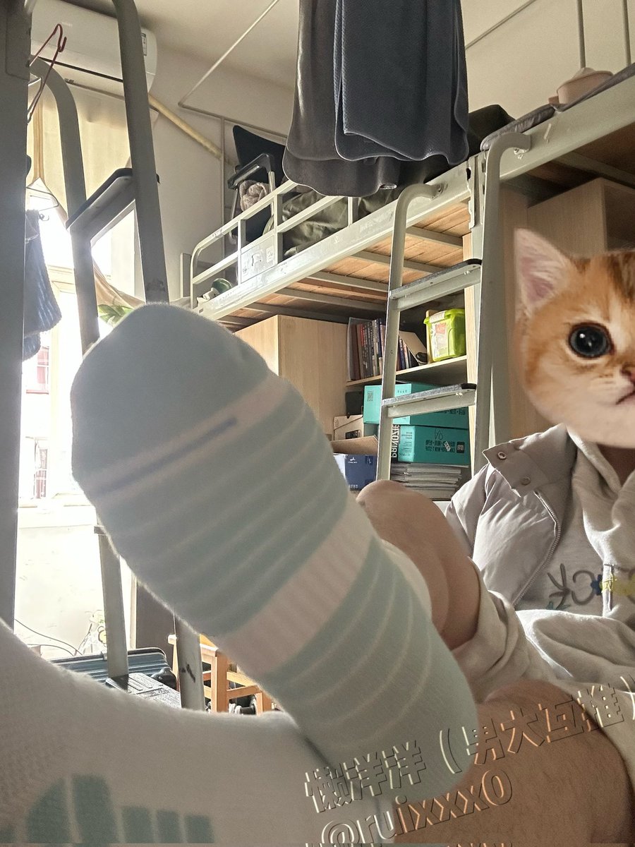 懒洋洋（男大互推） tweet media