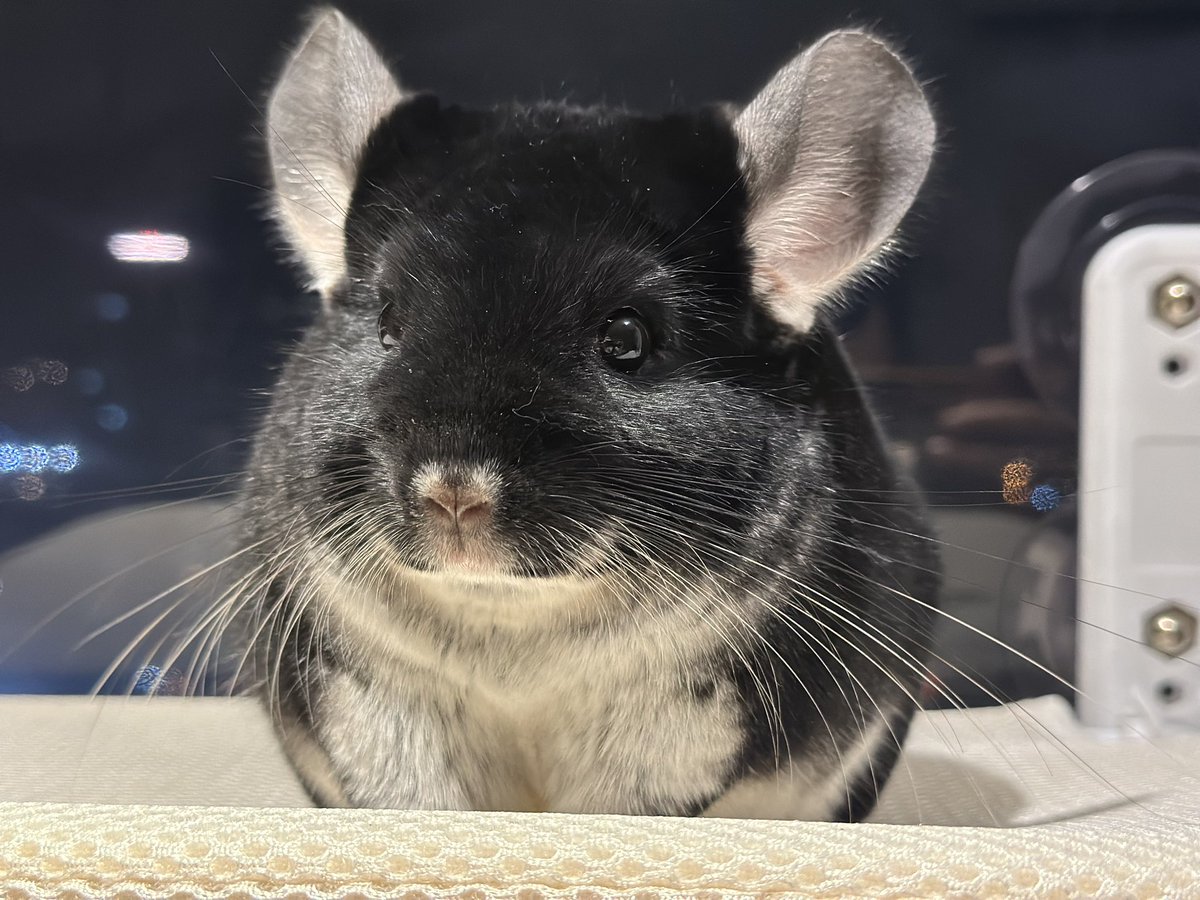 Bling Bling✨✨✨