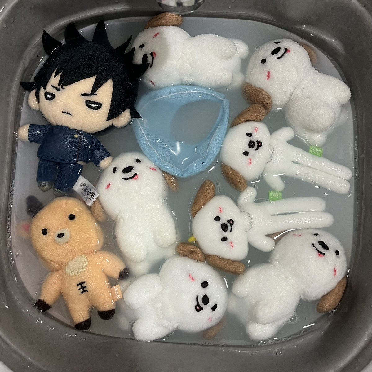 mootun (open) tweet media