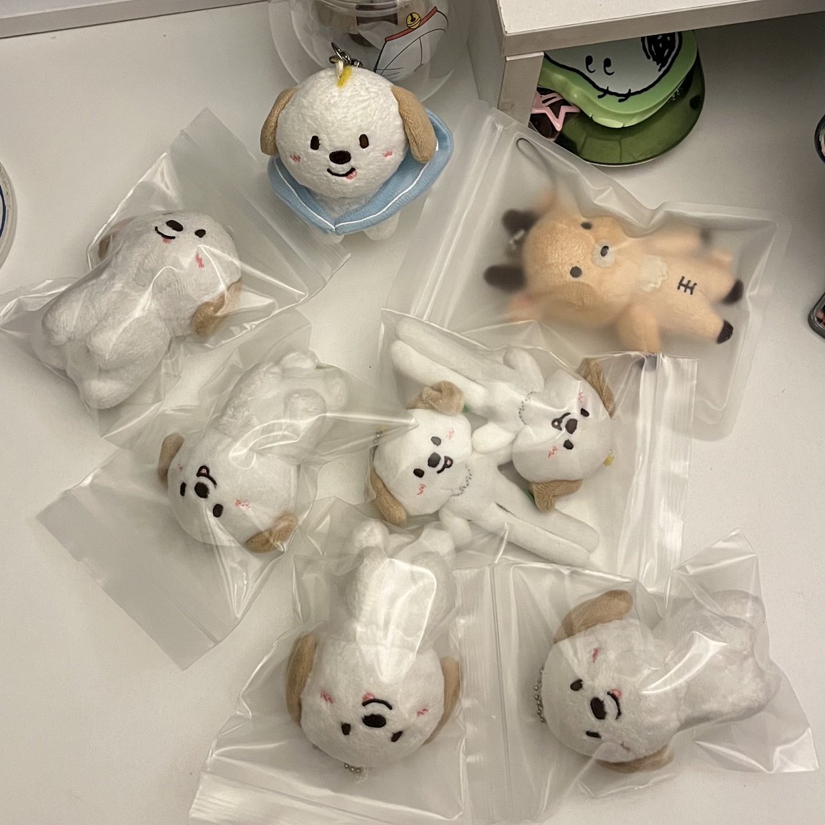 mootun (open) tweet media