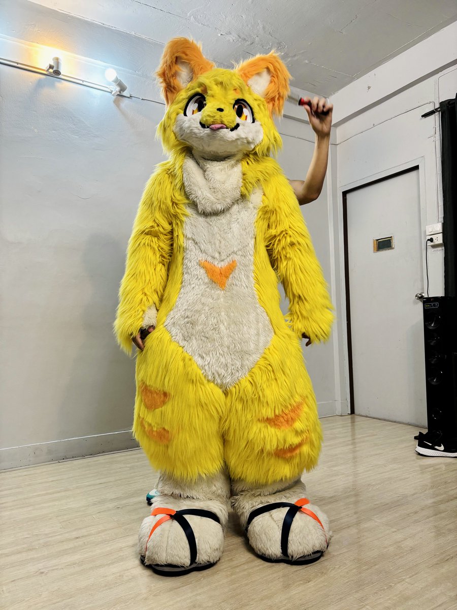 Felix|Chestnafox 🔜 🇹🇭 Thaitails 2026 tweet media