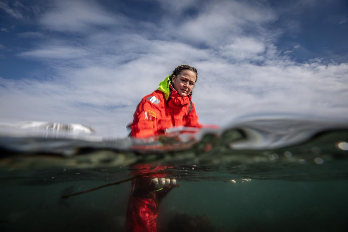 TÜBİTAK tweet media