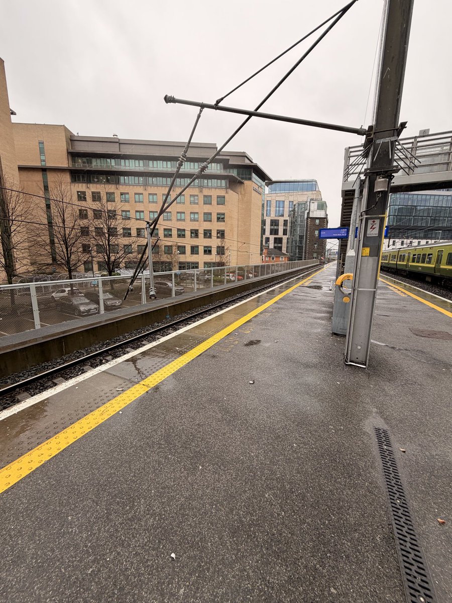 leonidas.1995 tweet media