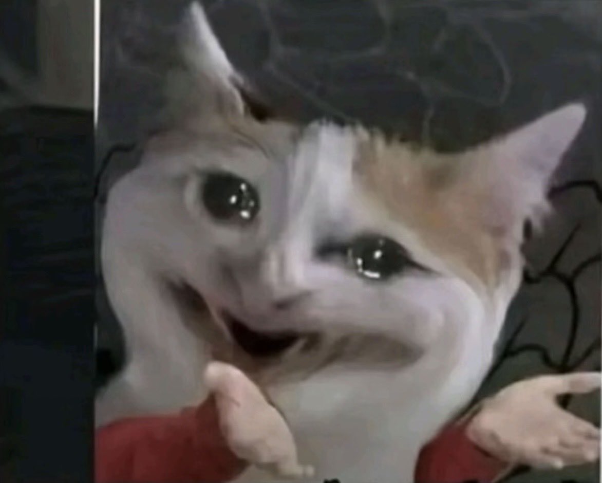 RomeyRome tweet media