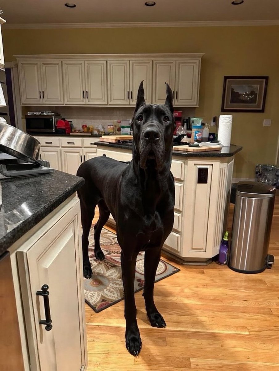 Honey 🛼 tweet media