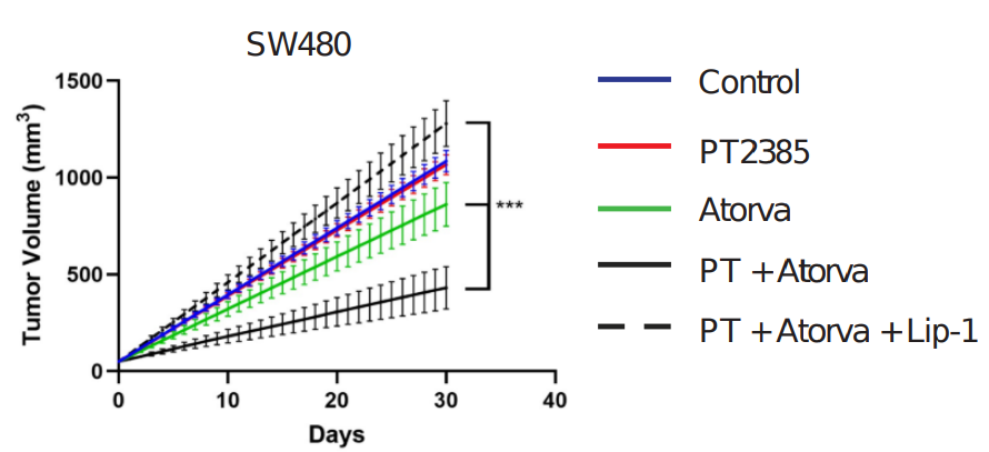 Dan Michele tweet media