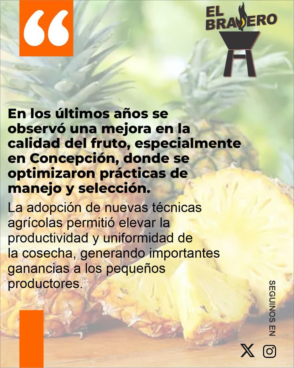 ElBraseroPy tweet media