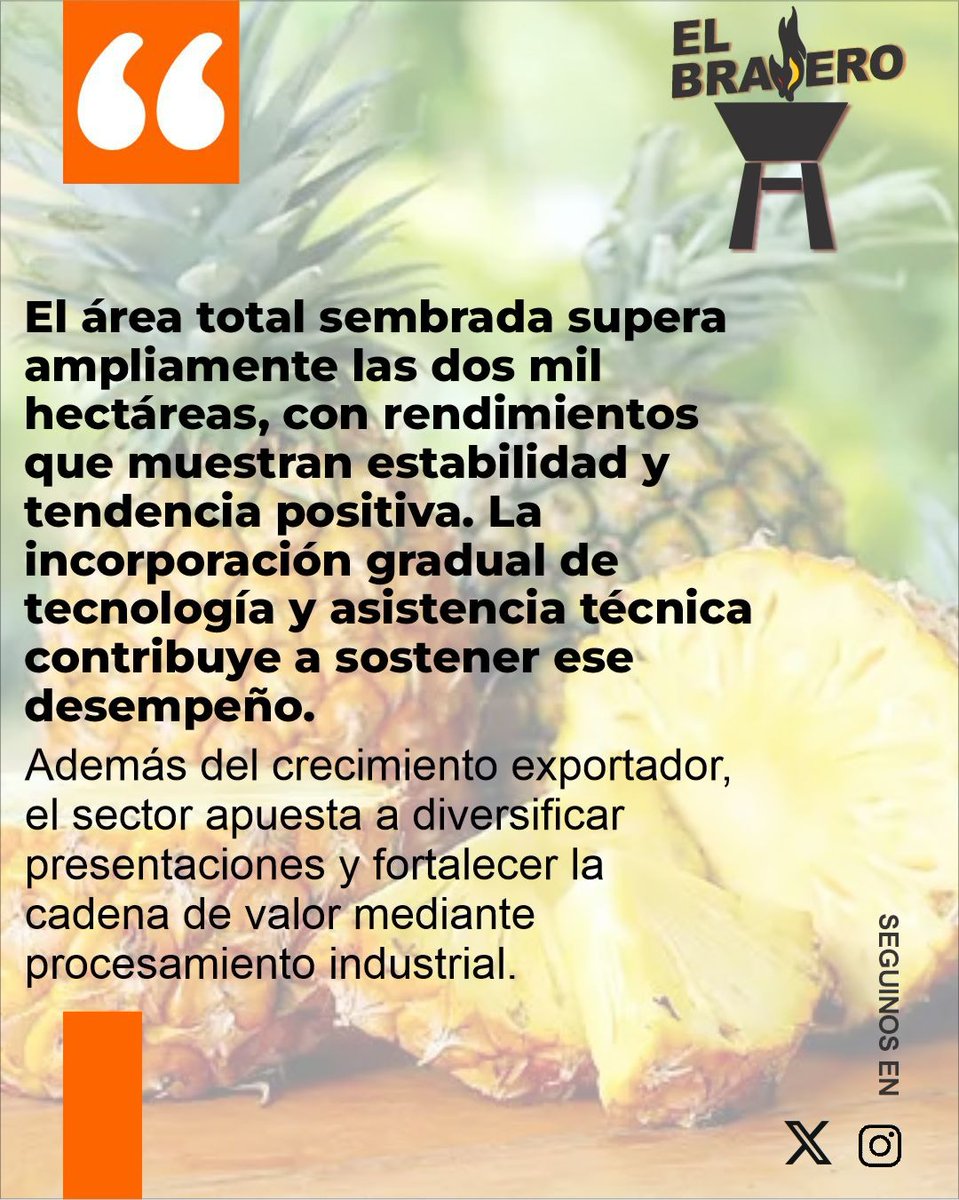 ElBraseroPy tweet media