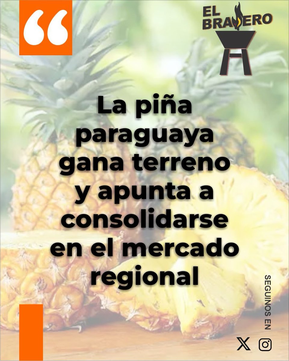 ElBraseroPy tweet media