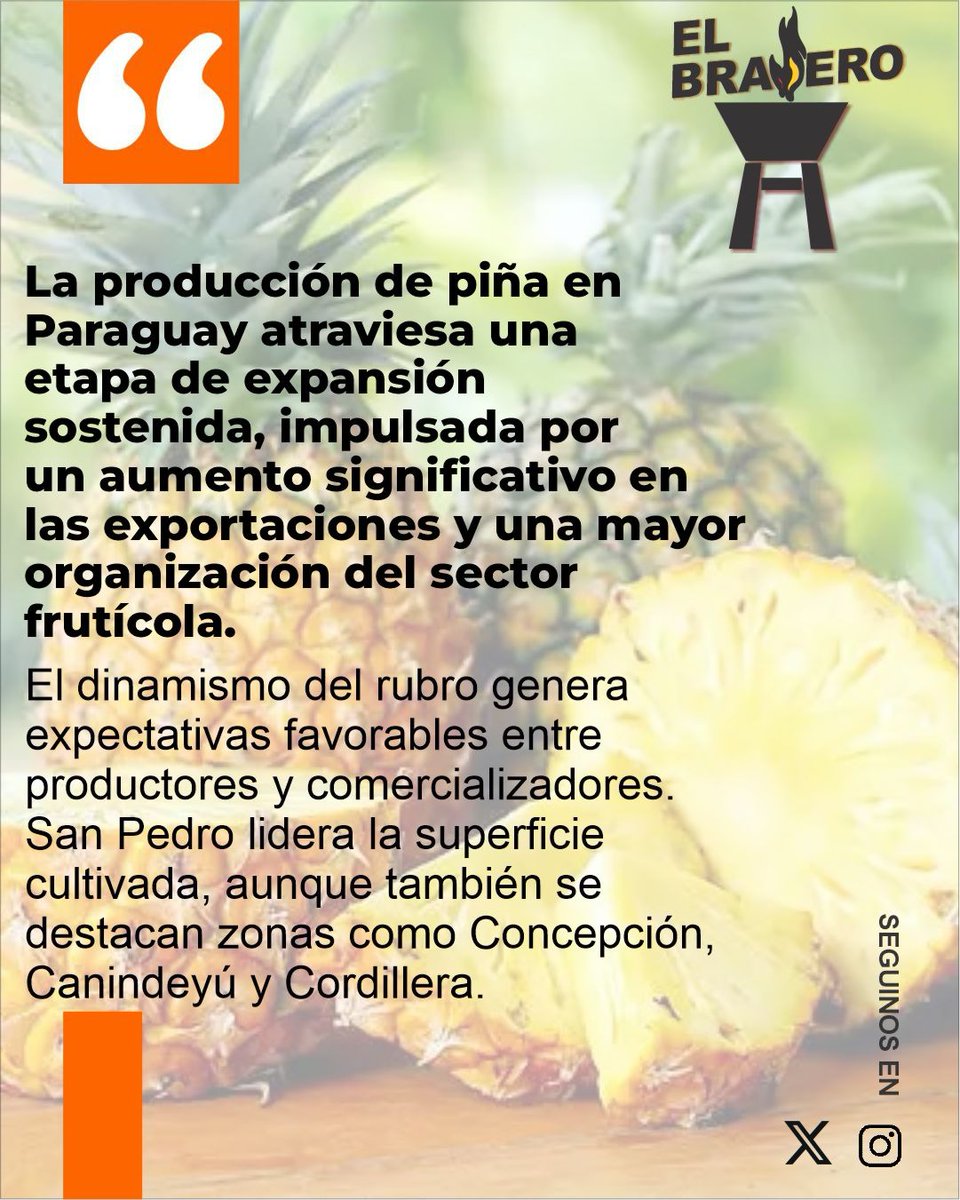 ElBraseroPy tweet media