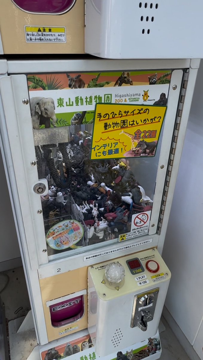 さのﾁｬﾝ tweet media