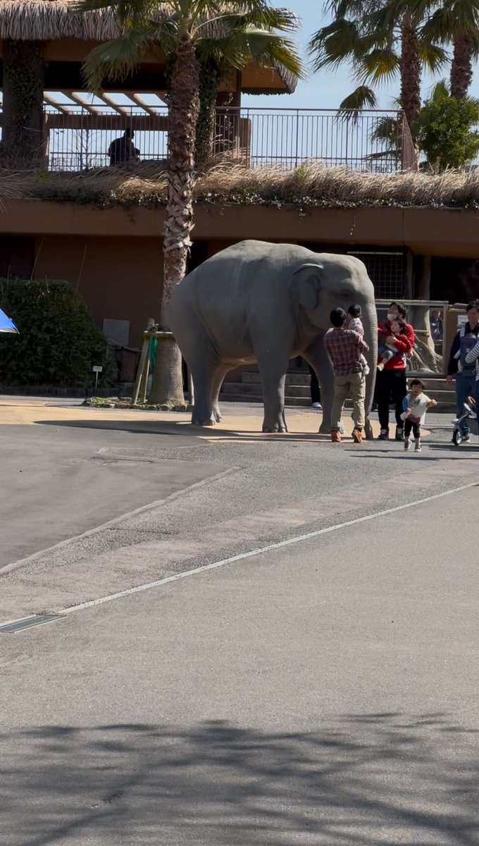 さのﾁｬﾝ tweet media