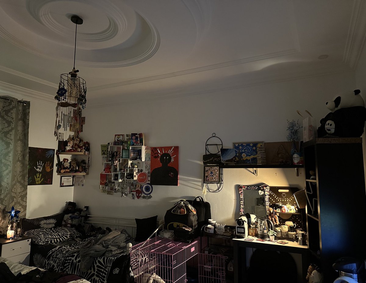 ✩ ☠︎ 𖦹 tweet media