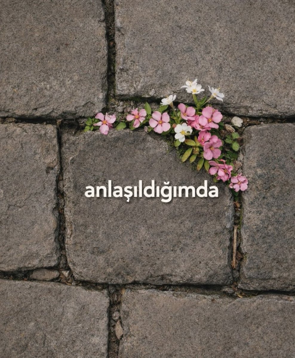 Delinindelisii 🐼 (@delinindelisi0) on Twitter photo 