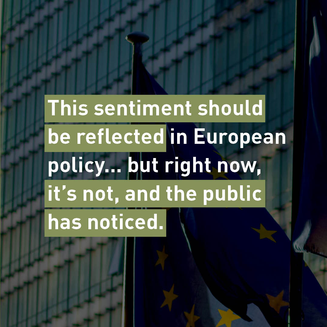 FOUR PAWS European Policy Office tweet media