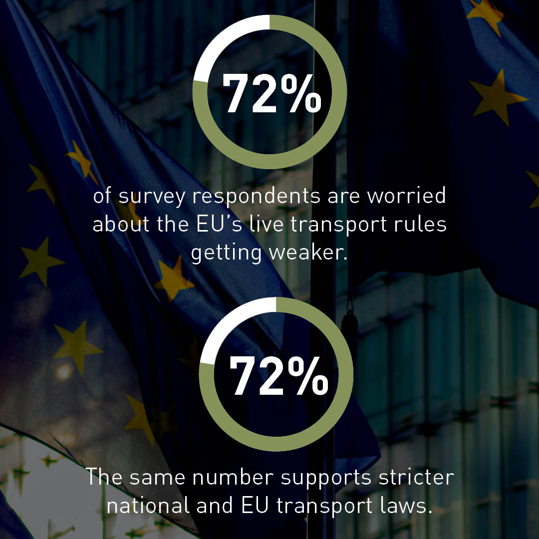 FOUR PAWS European Policy Office tweet media
