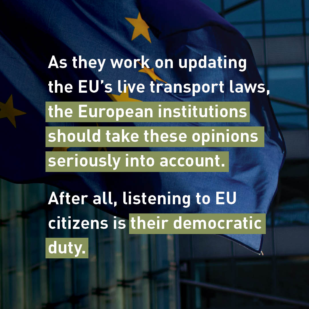 FOUR PAWS European Policy Office tweet media