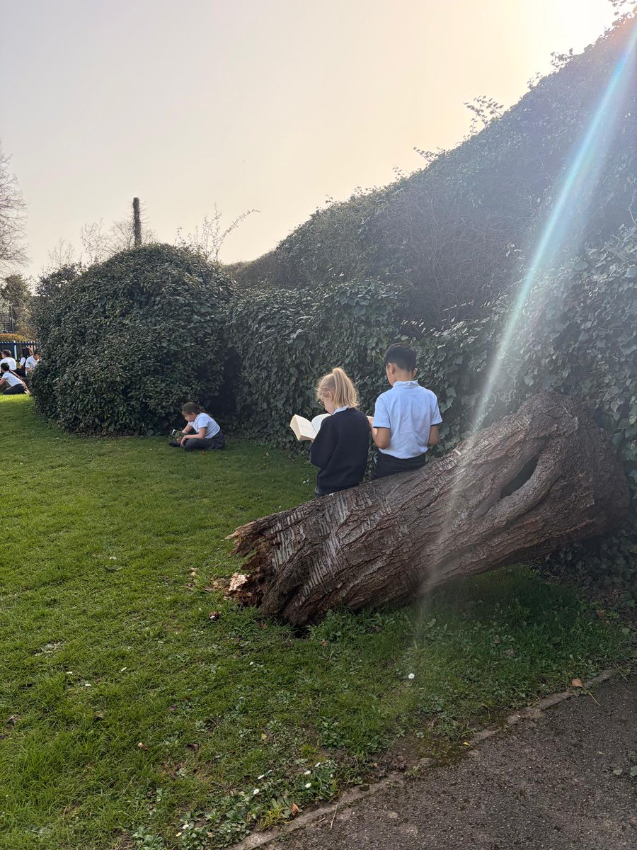 Wexham Court Primary tweet media