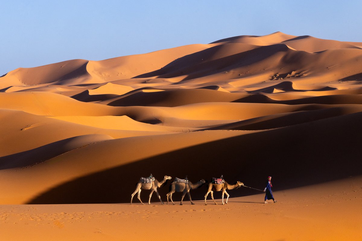 Richard Bernabe tweet media