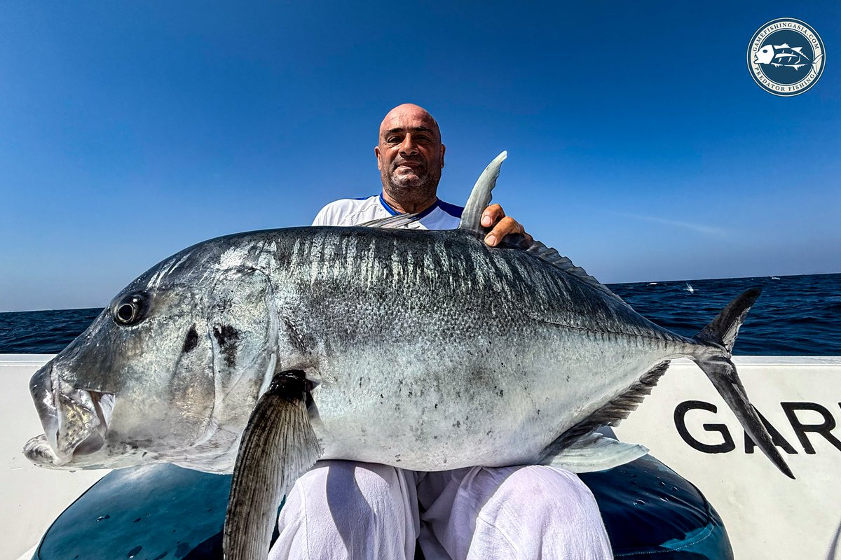 GamefishingAsia's tweet photo. The fish is huge. The angler is calm.
That's not luck.
That's what happens after 30 minutes of war in the Andaman Sea.
Pure GT. Barbless hook. Released alive.
Would you have the composure to hold it together on a fish this size? 👇
#GTfishing #Andaman https://t.co/H2iF5y6t2U