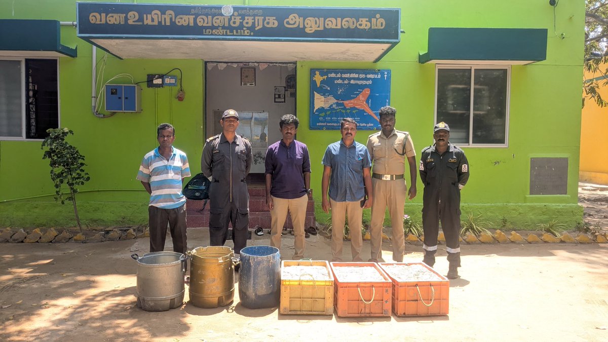 Def_PRO_Chennai's tweet image. Acting swiftly on #INT input @IndiaCoastGuard Stn #Mandapam carried out successful anti-smuggling ops near Vedalai:03 Mar 26 #AirCushionVessel of the Station seized abt 280Kg #SeaCucumber &amp;amp; handed over to #Forest Dept on 04 Mar for legal formalities

#WeProtect
#MarineEnvironment
