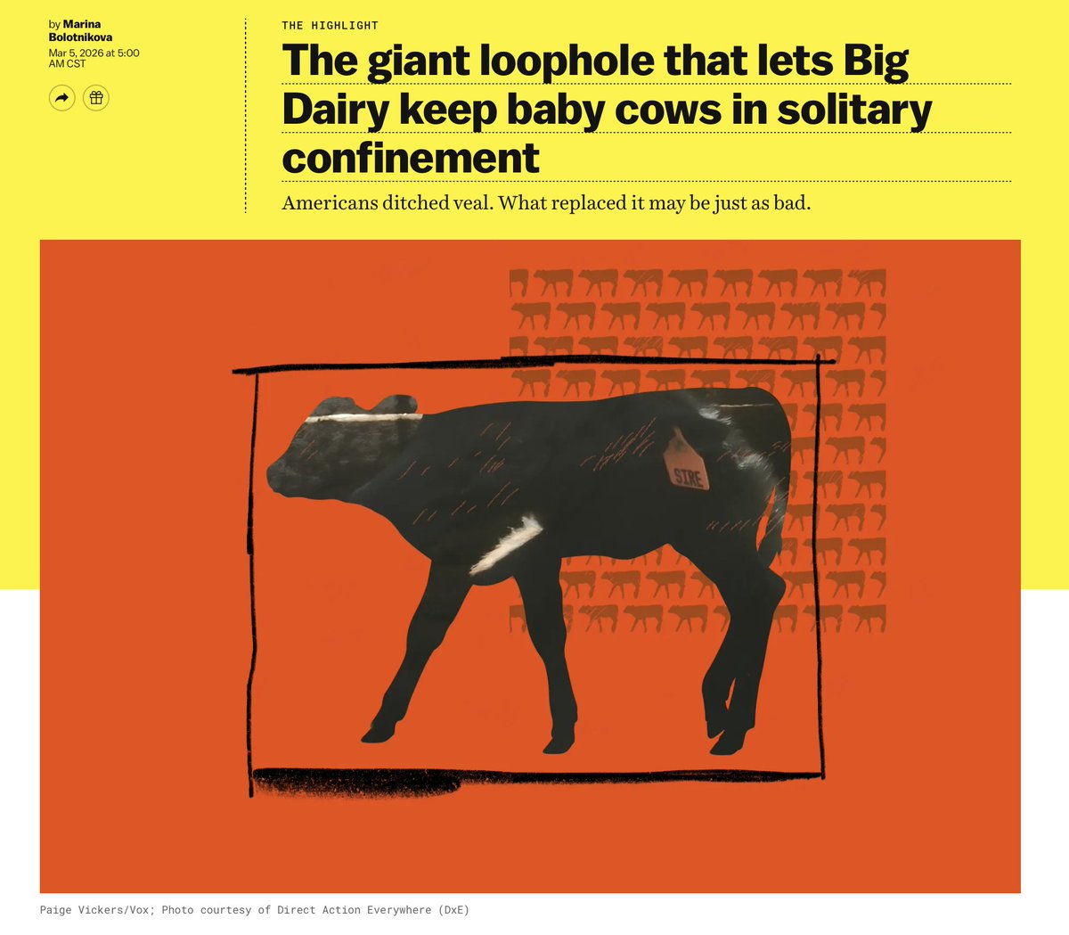 Marina Bolotnikova tweet media