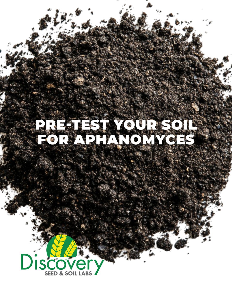 Get ahead of the season and avoid surprises by pre-testing your soil for Aphanomyces. 👍

Early testing gives you valuable insight so you can plan with confidence before planting begins.

For more information, stop by our Saskatoon office at 450 Melville Street or call us at