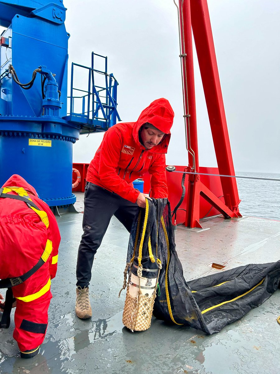 Instituto Milenio BASE tweet media