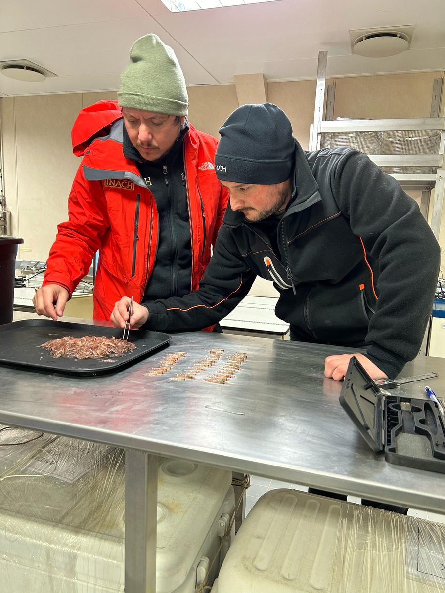 Instituto Milenio BASE tweet media