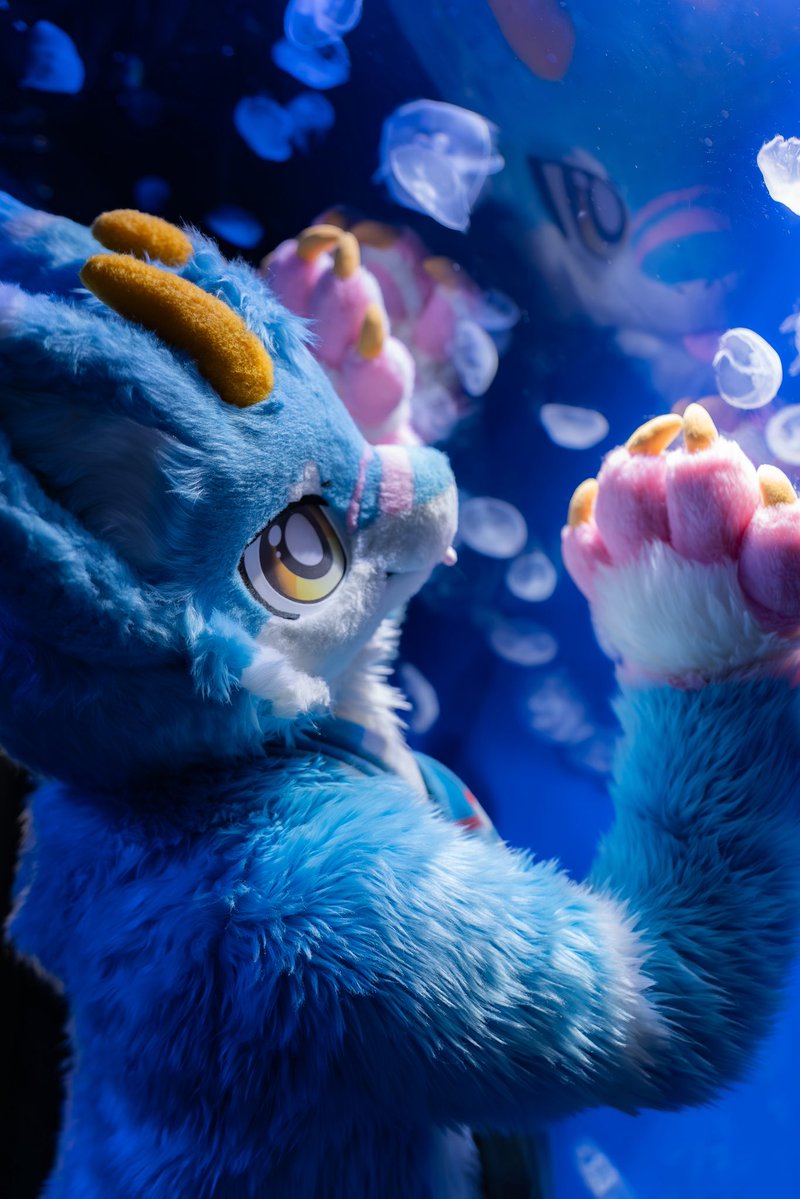 たまもっきゅ🍯🪸⇨FurstClass🇰🇷 tweet media