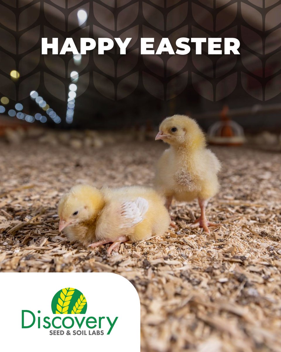 Wishing you a happy Easter from all of us at Discovery Seed &amp; Soil Labs. 🌷
Here’s to a fresh start, good planning, and a smooth season ahead.

#DiscoverySeedLabs #Saskatoon #DiseaseTesting #SoilTesting #SeedSample #SeedTesting #SeedPerformance