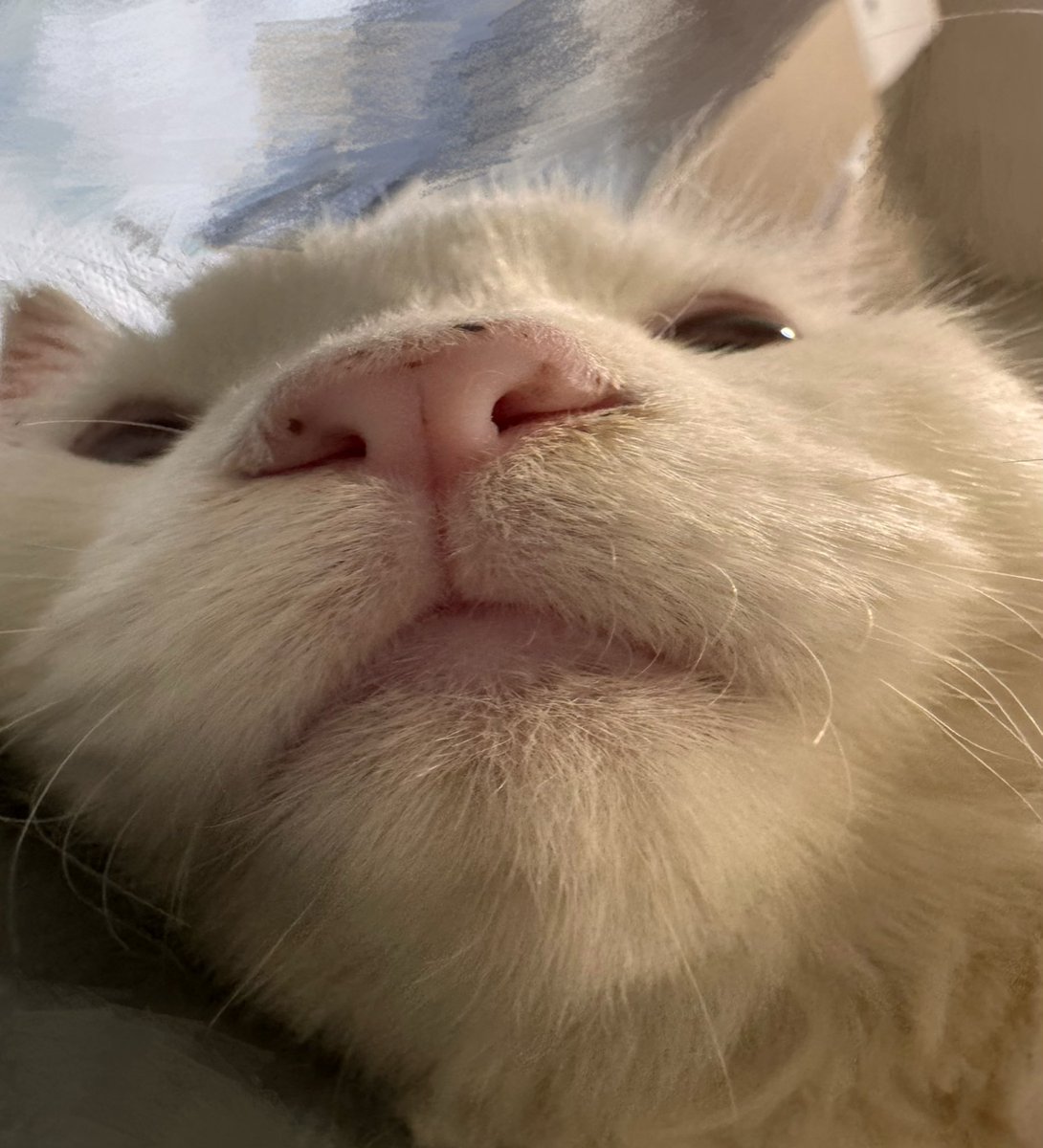 i cant get over this picture of greg im crying