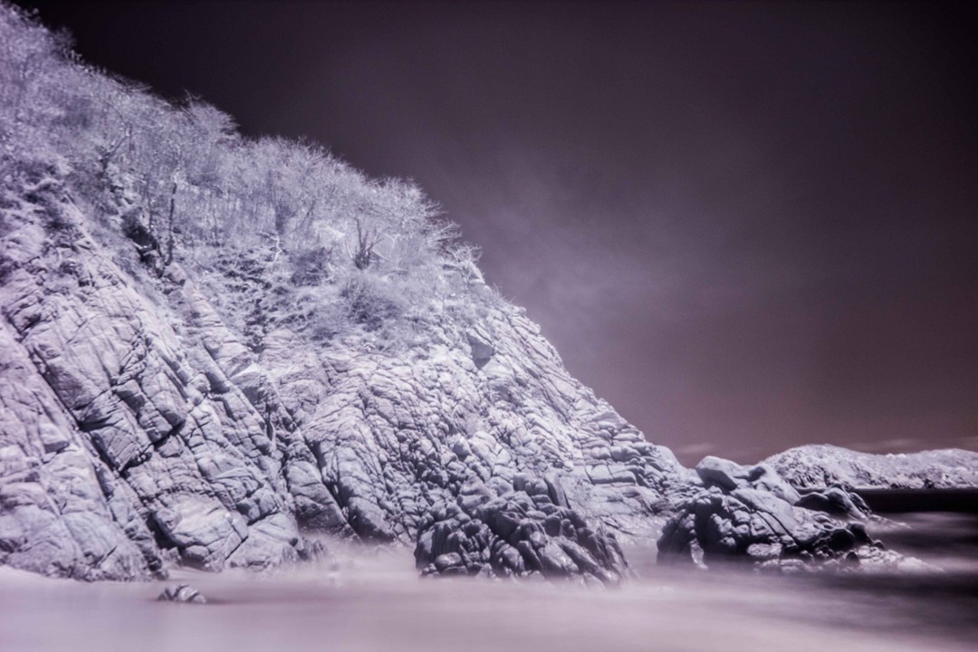 Iram Ortega 👁 tweet media