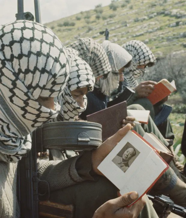 Çelik Akademi tweet media