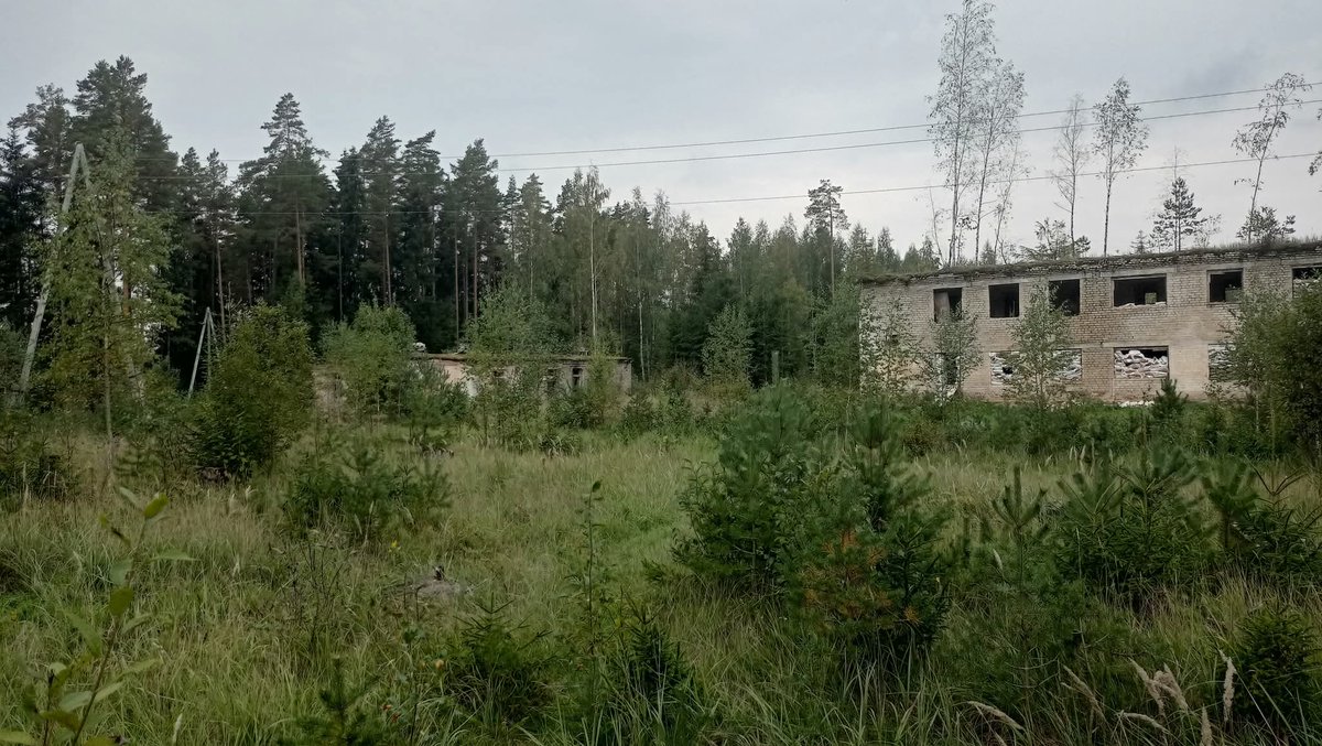 pavelsh 🇱🇻 tweet media