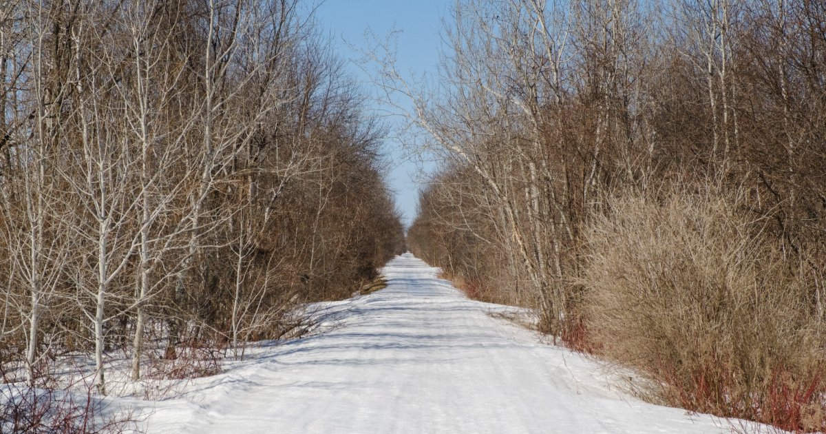 Sentier Transcanadien 🇨🇦 tweet media