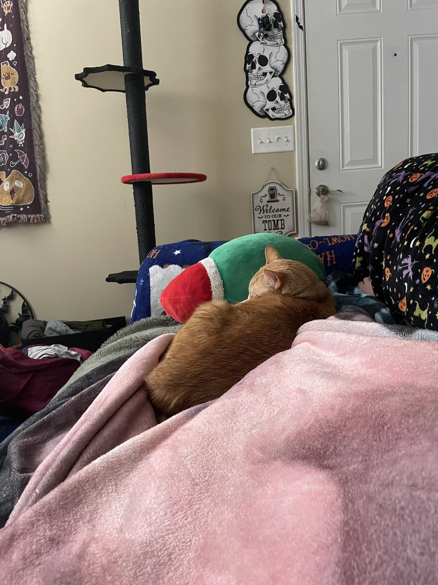 IS THIS A CULT? tweet media