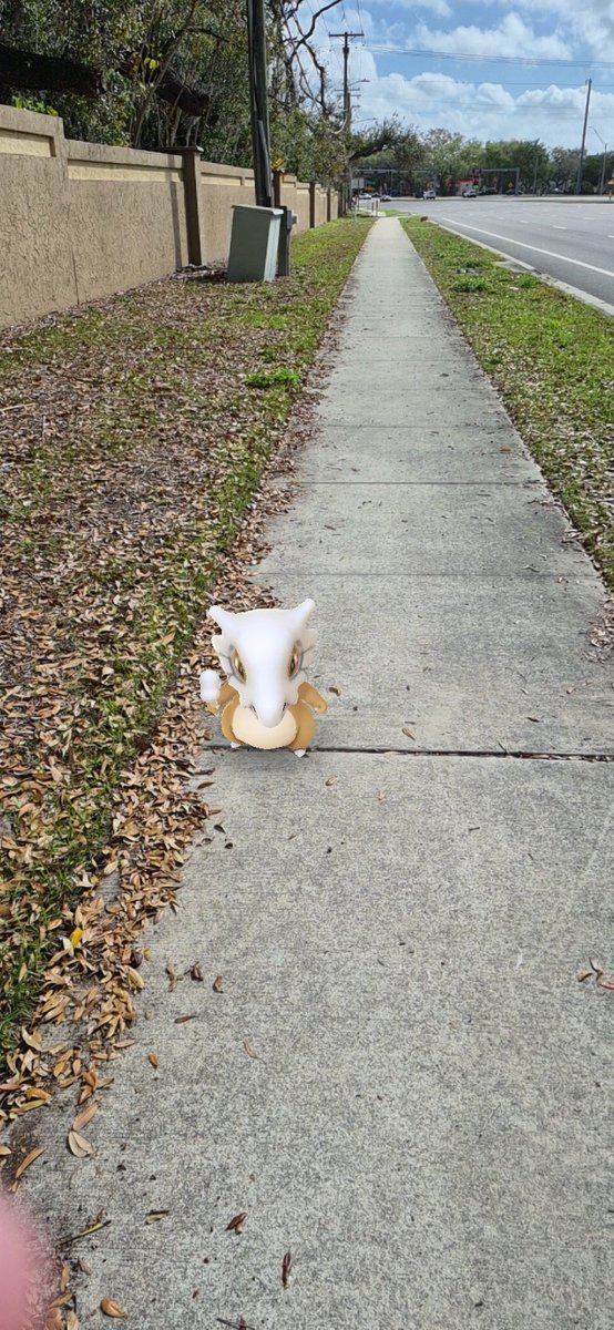 Cubone get the FUCK outta the way