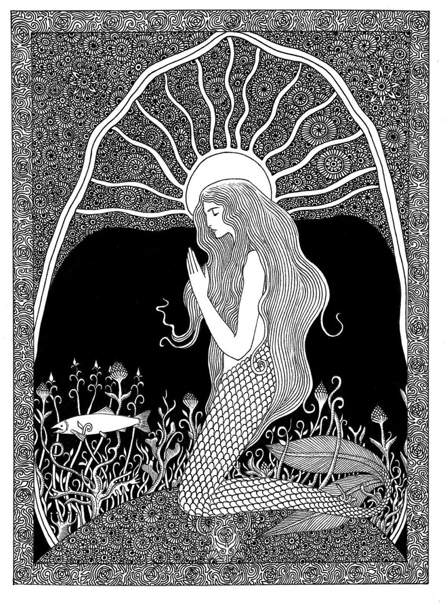 Ireland's Trees & Mythology tweet media